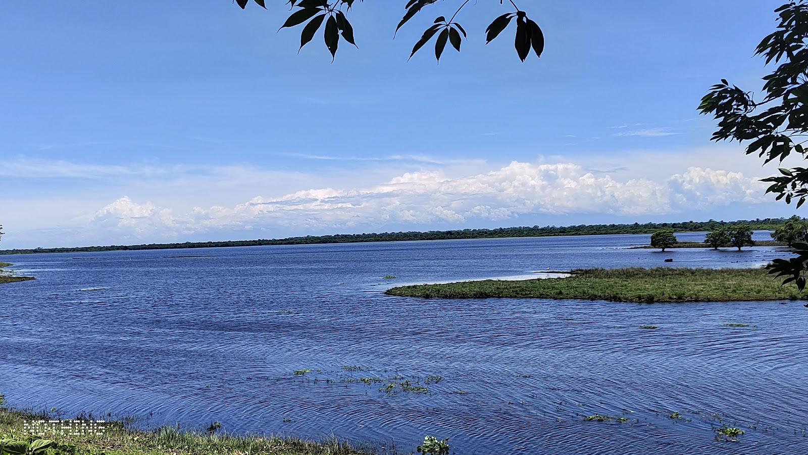 Laokhowa Wildlife Sanctuary