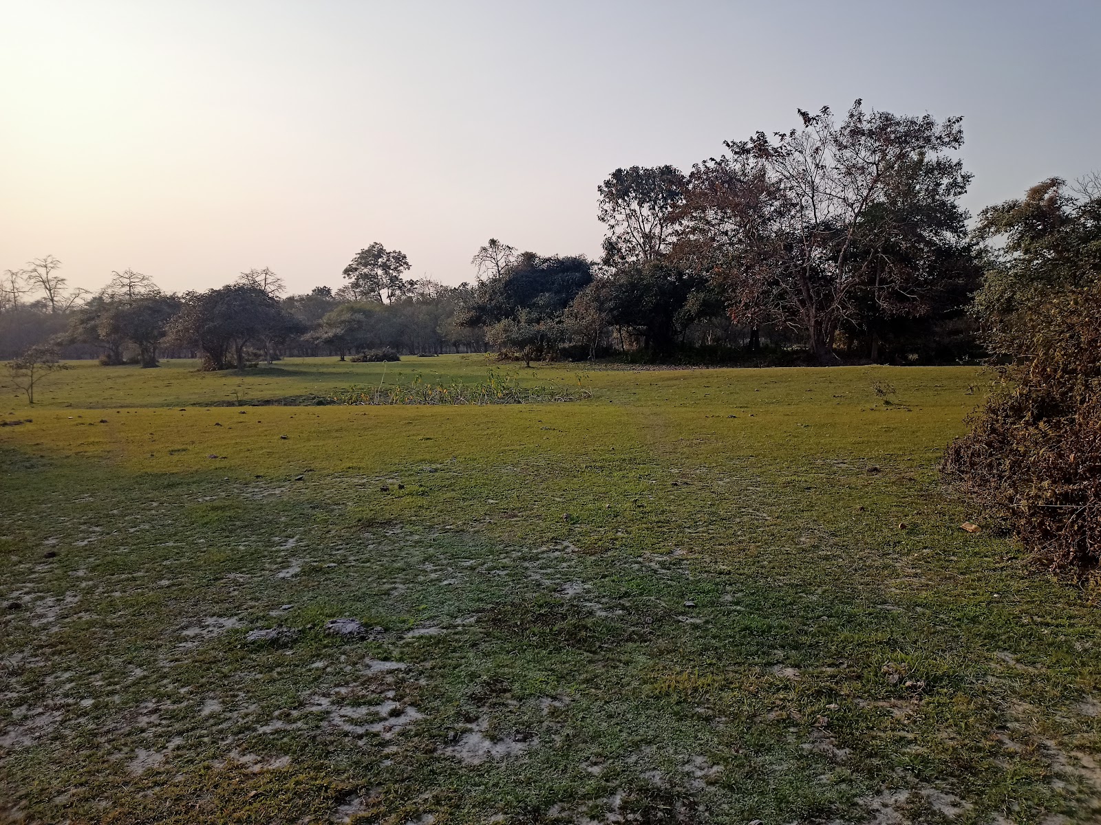 Laokhowa Wildlife Sanctuary