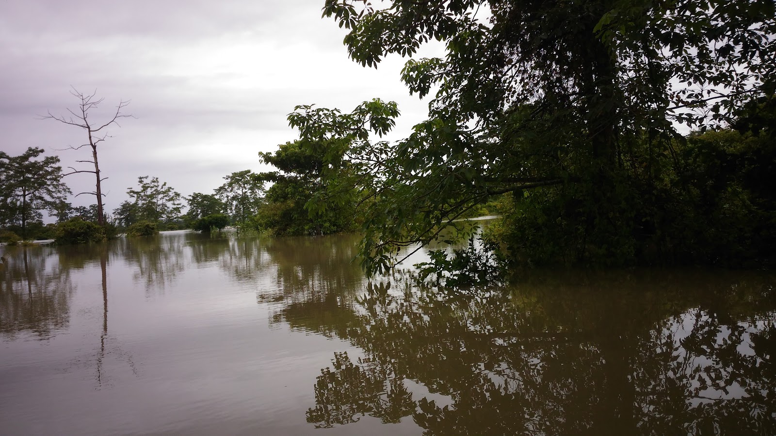 Laokhowa Wildlife Sanctuary