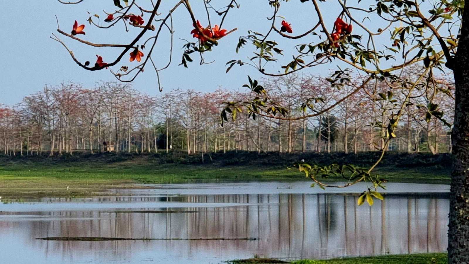 Laokhowa Wildlife Sanctuary