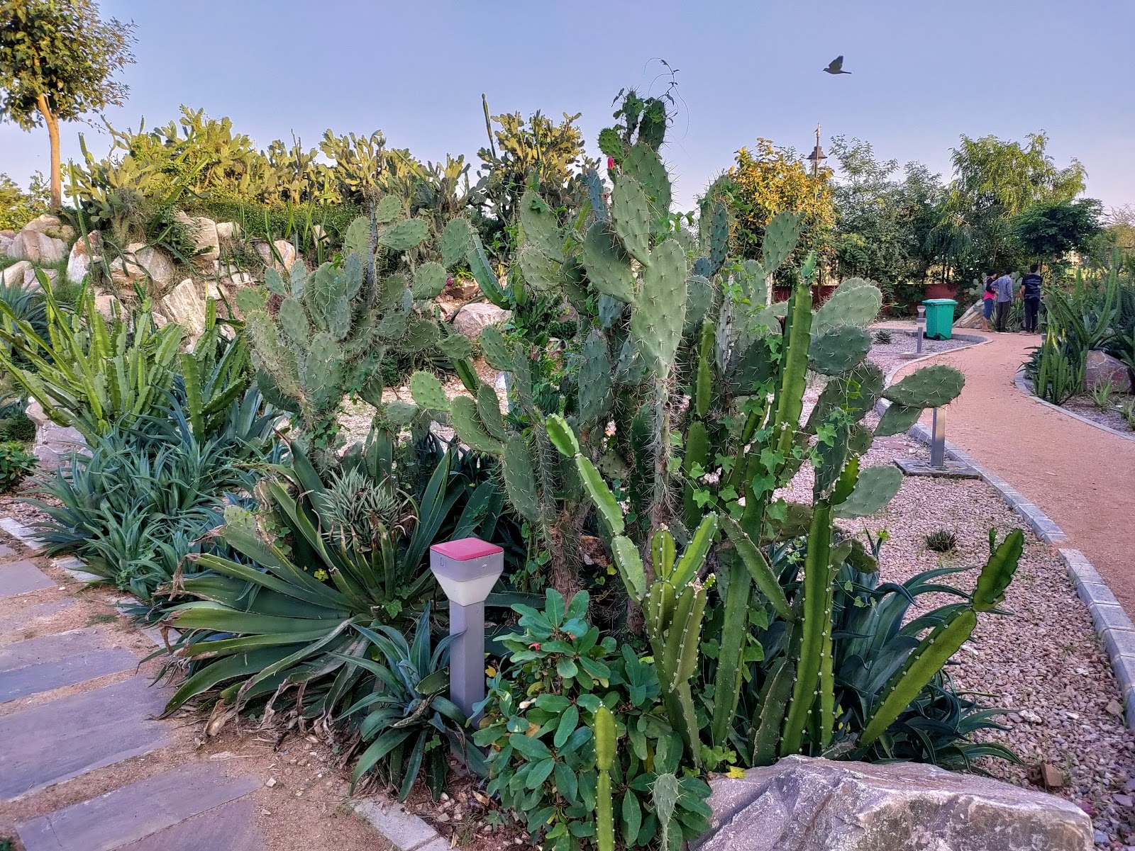 Botanical Garden