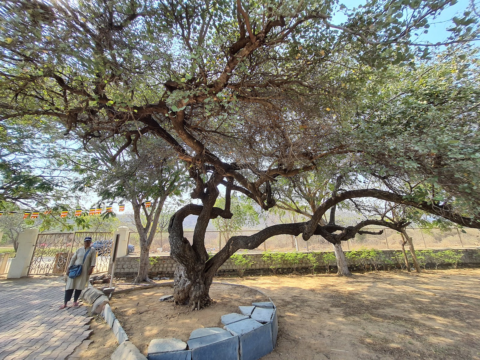 Anupu Archaeological Remains