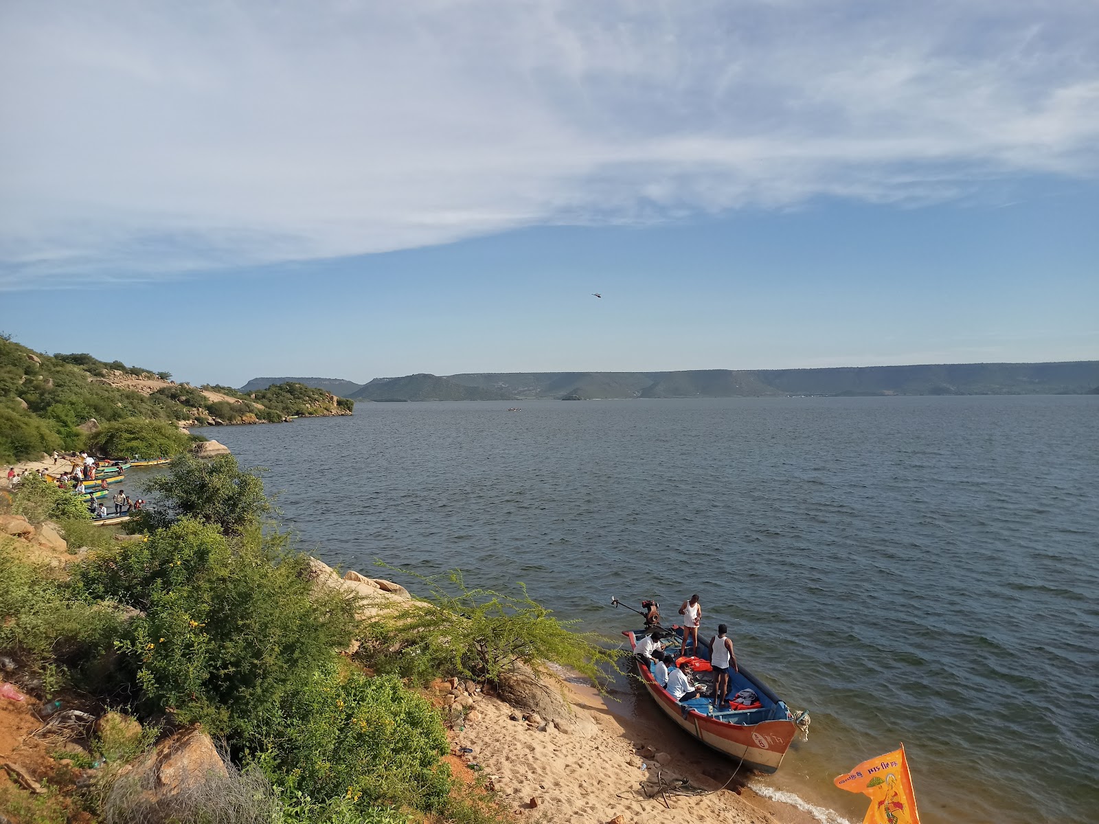 Island Ferry and Boat Rides