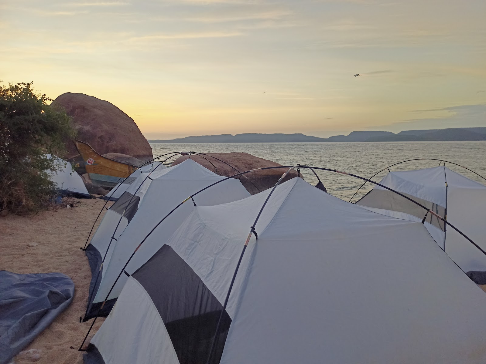 Island Ferry and Boat Rides
