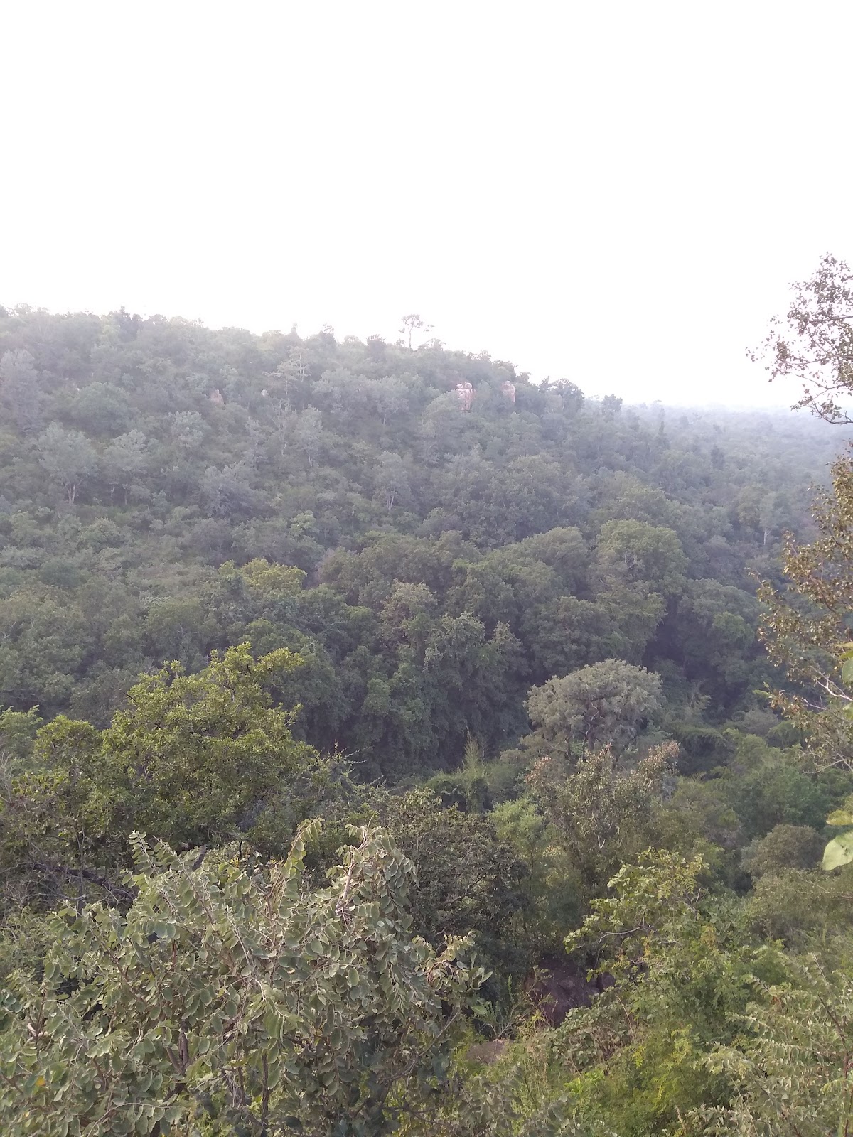 Mallela Theertham (Day Trip)