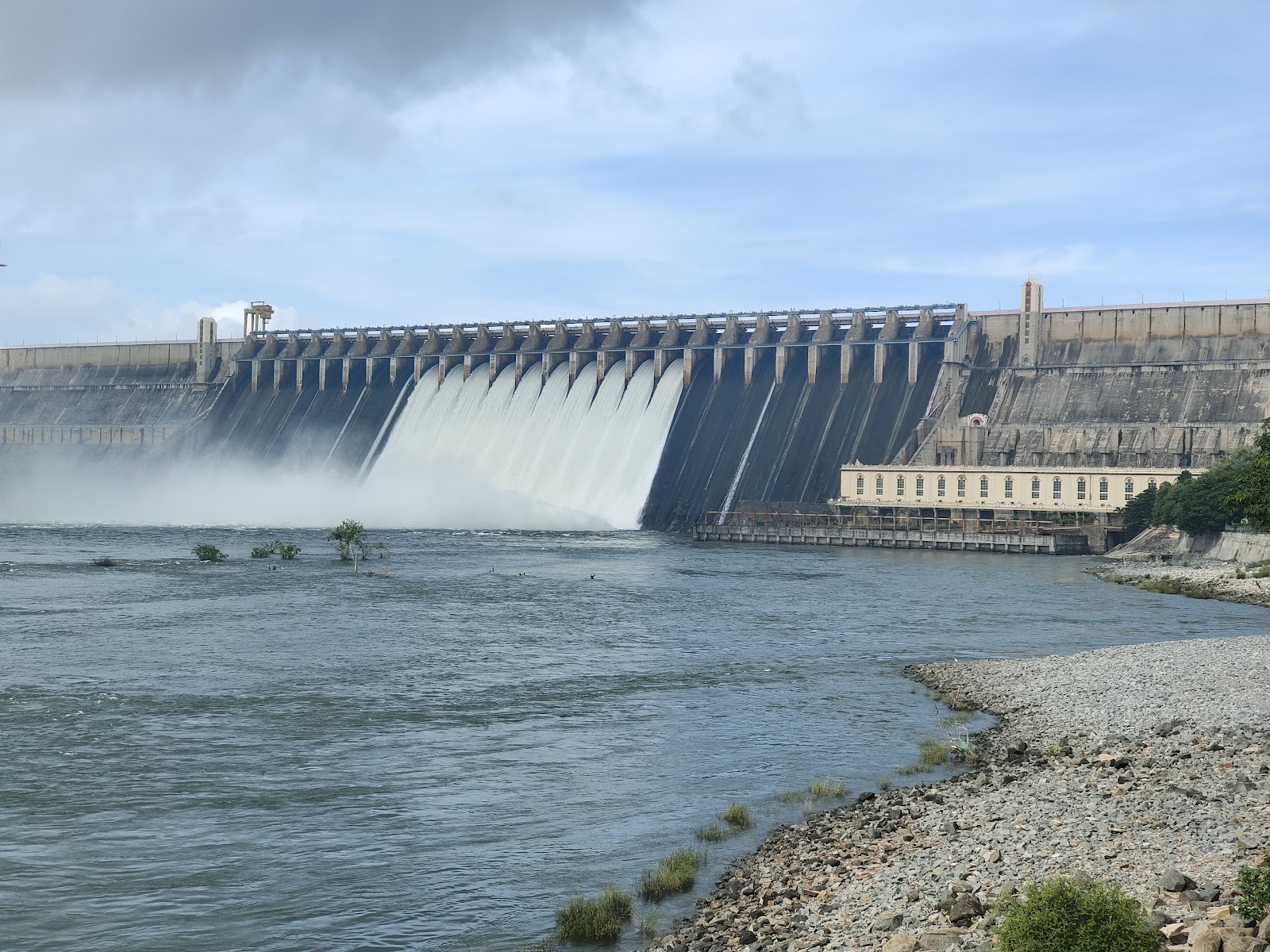 Crocodile Breeding Park