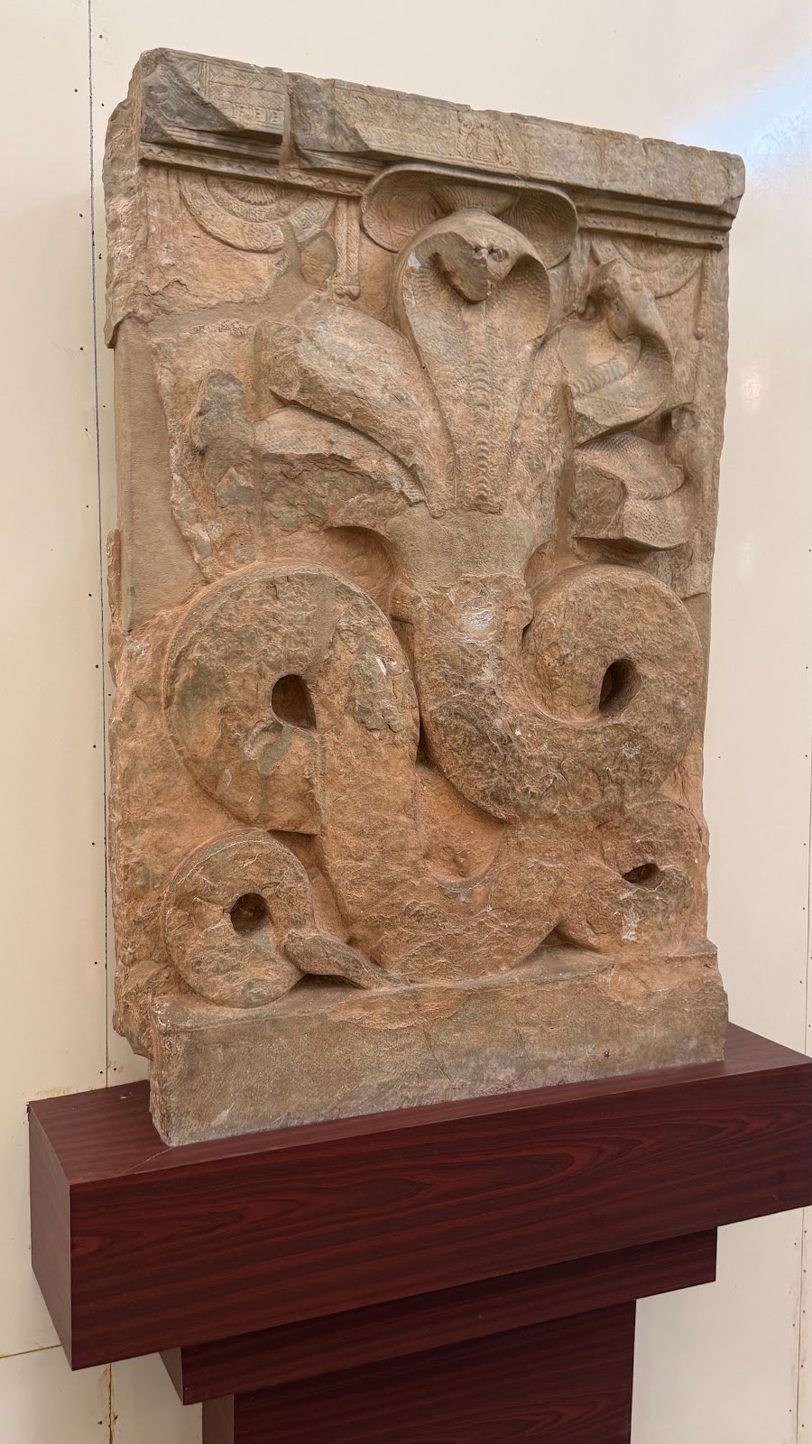 Nagarjunakonda Museum and Archaeological Site