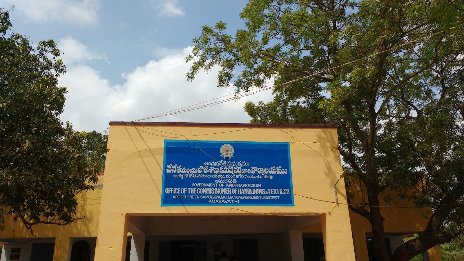 Local Handloom and Craft Market