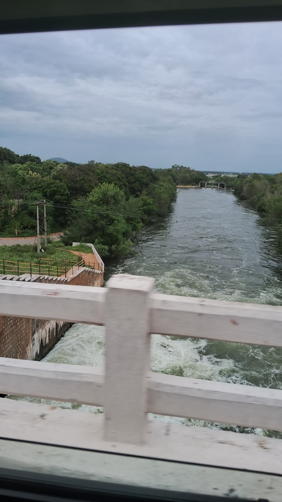 Reservoir Birdwatching Spot