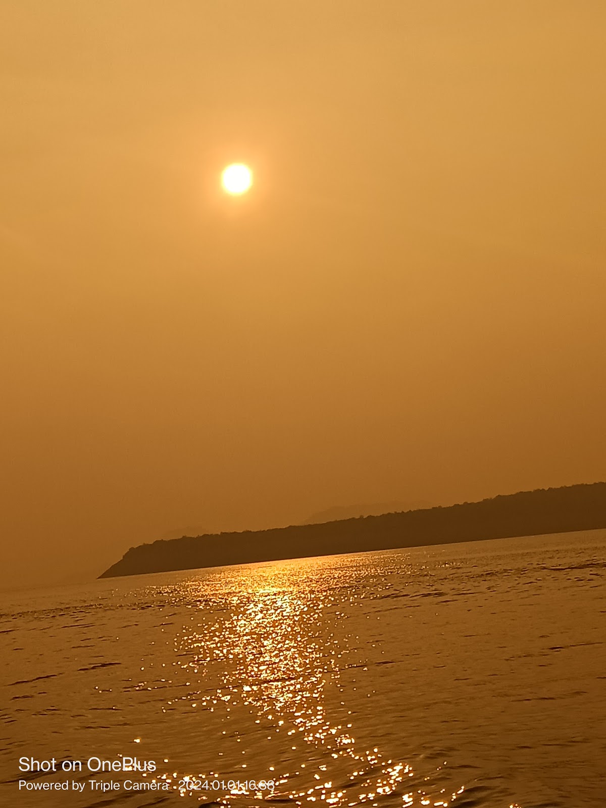 Reservoir Birdwatching Spot