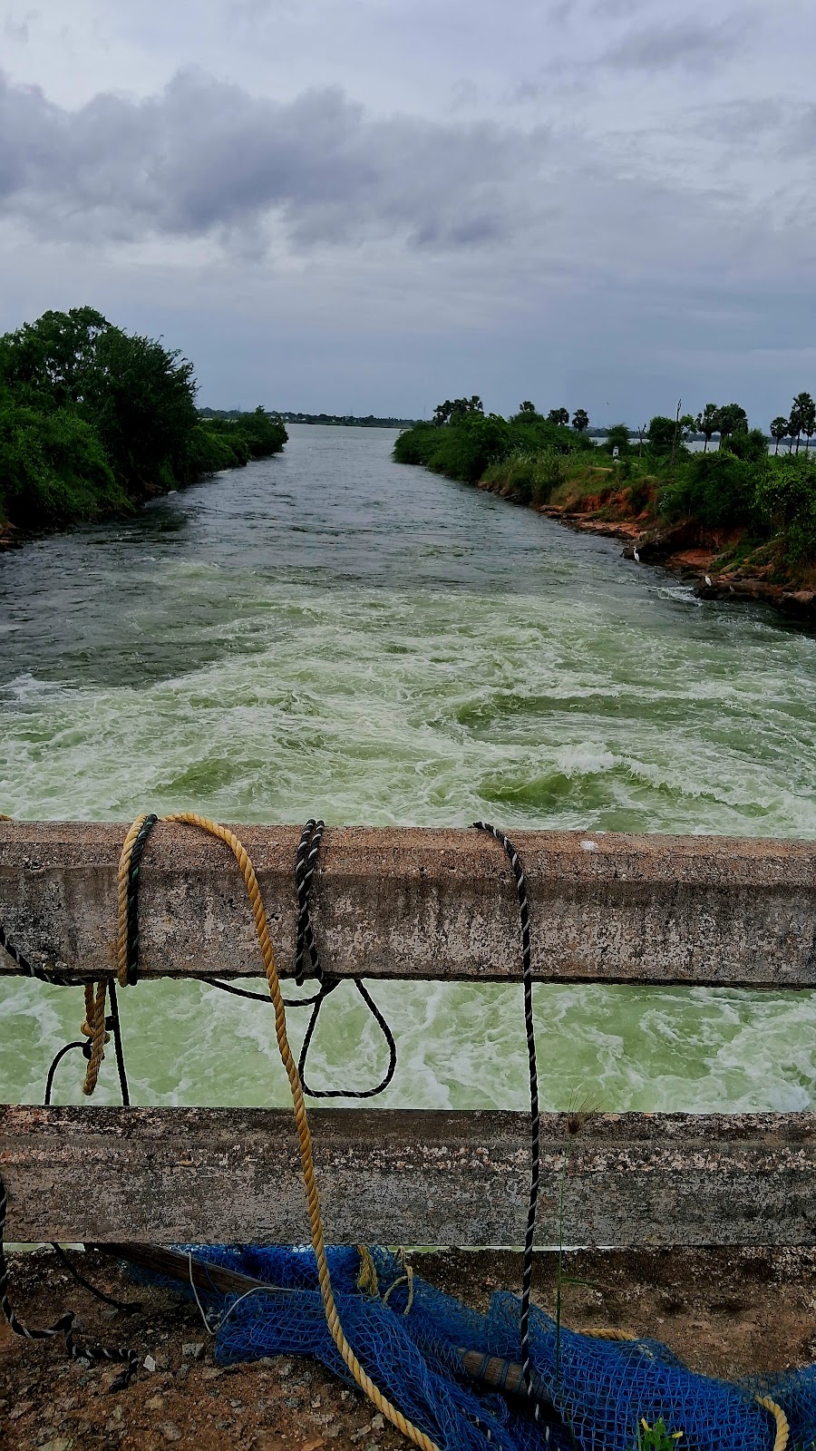 Reservoir Birdwatching Spot