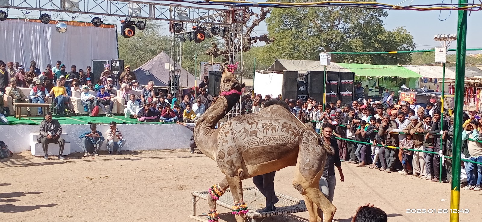 Nagaur Cattle Fair