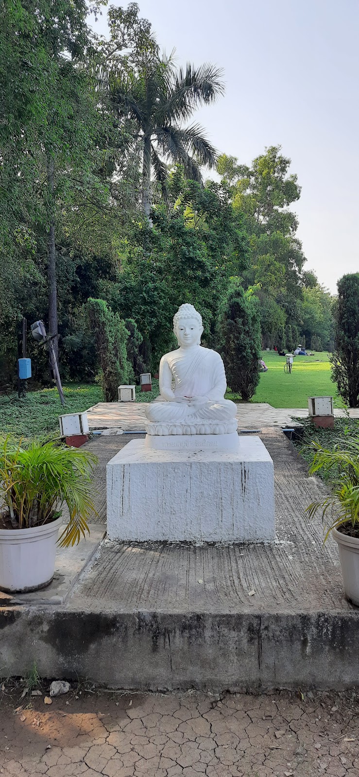 Dragon Palace Temple