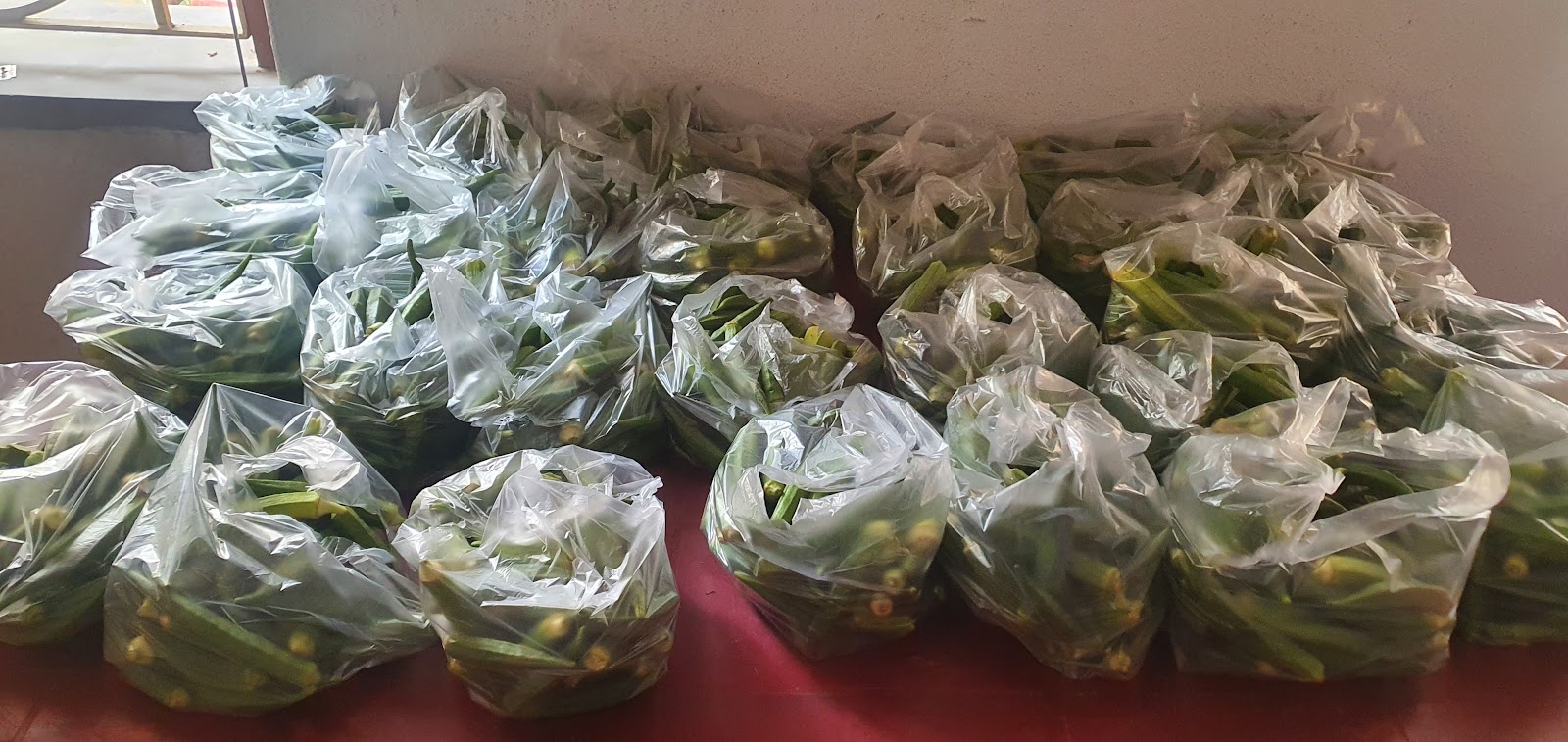 Baidyapur Ramkrishna Ashram