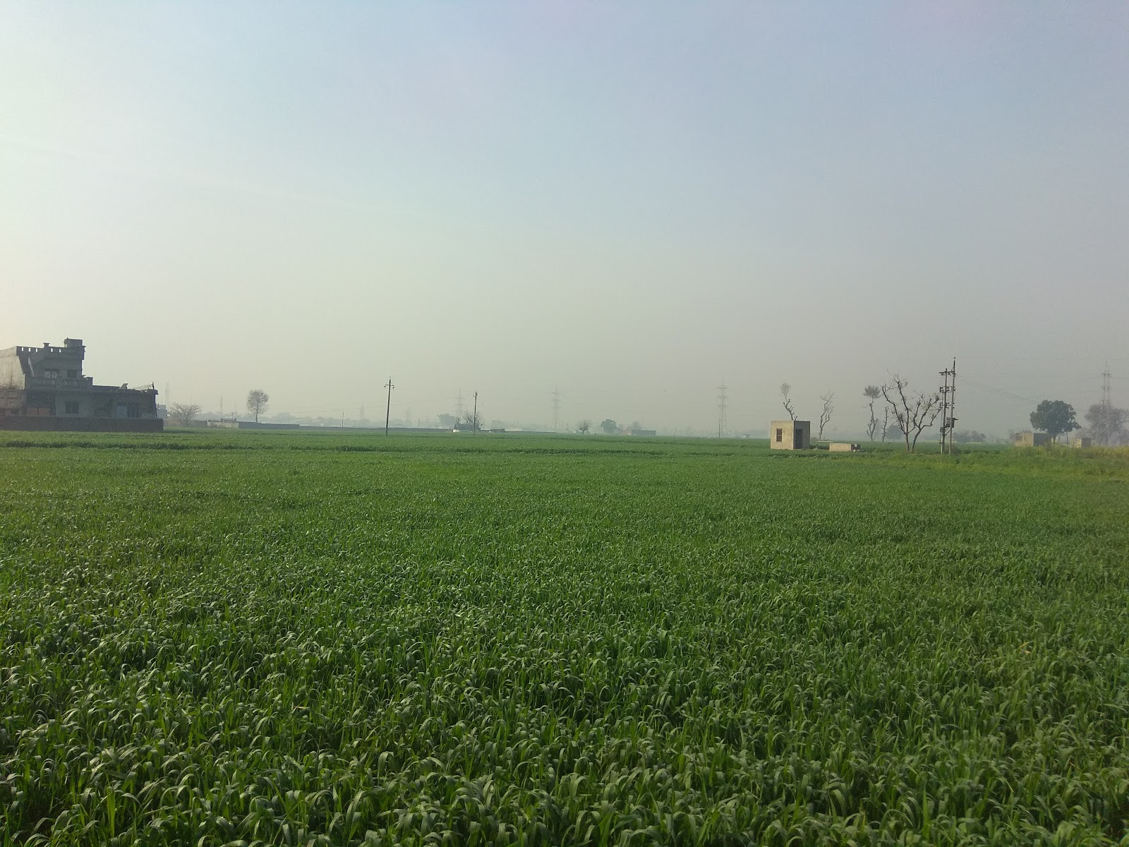 Gurudwara Tahli Sahib