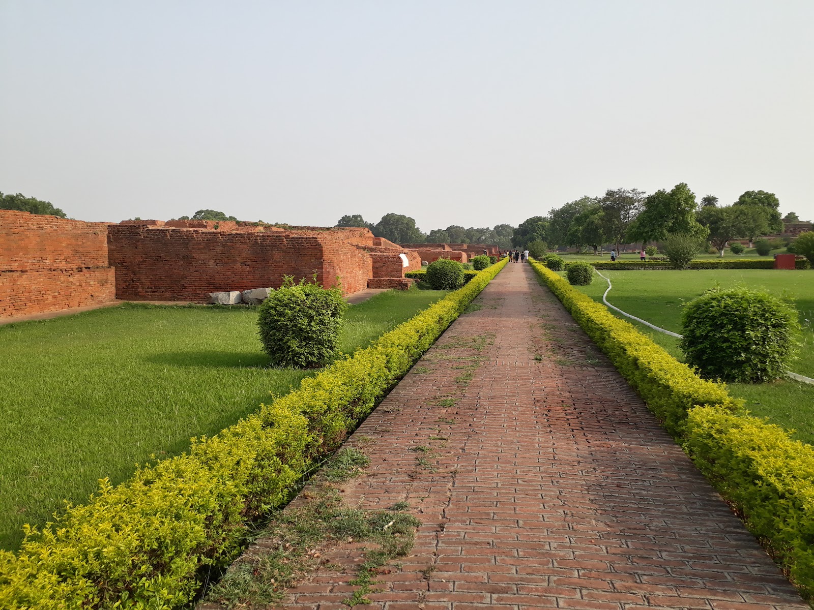 Nalanda University Ruins