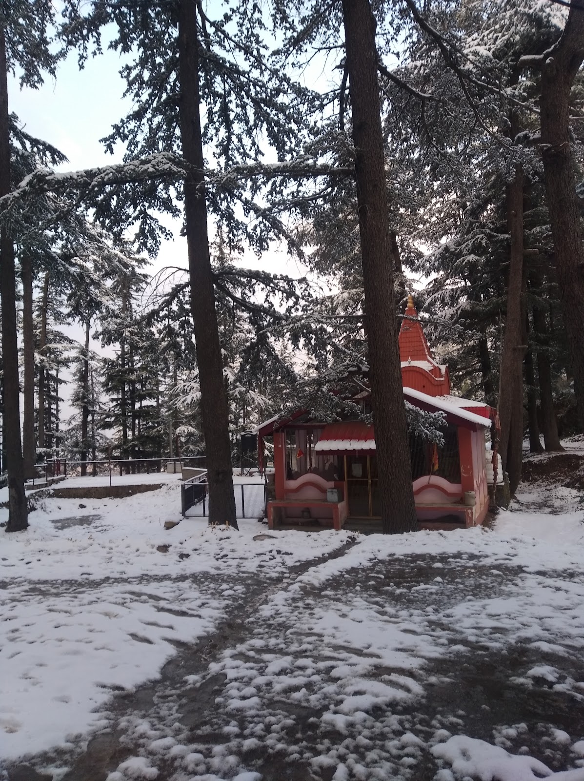 Naldehra Golf Course