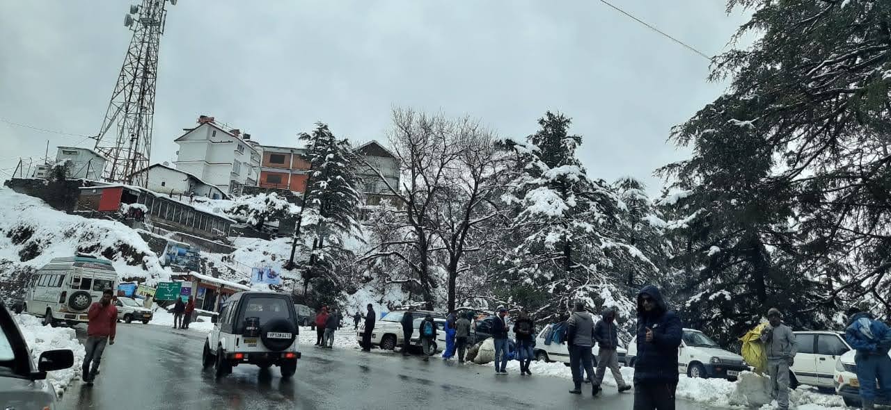 Shimla