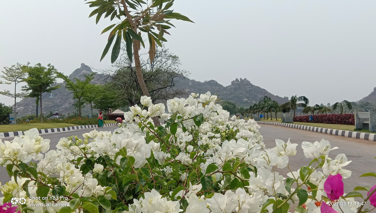 Yadagirigutta Temple