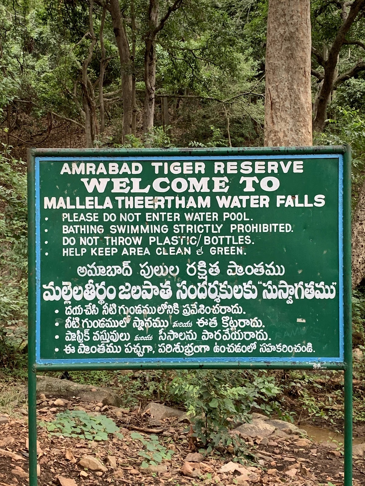 Mallela Theertham Waterfall