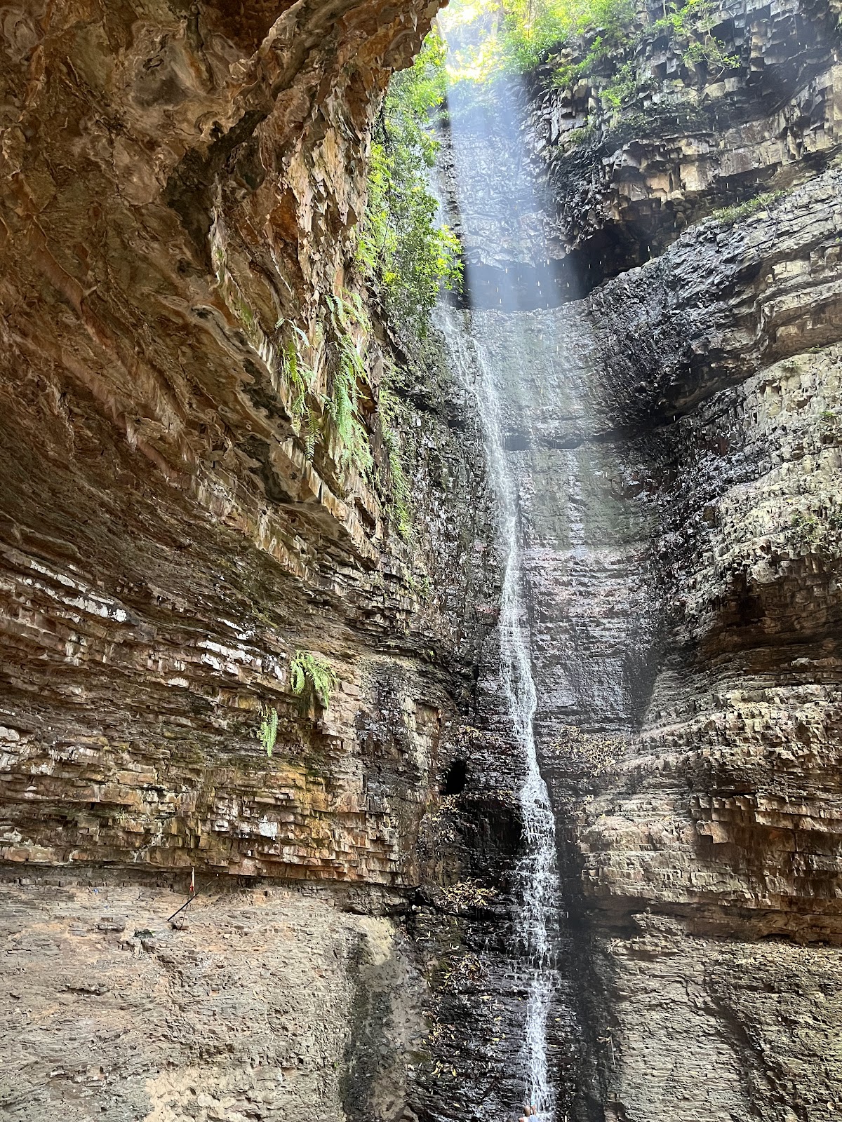 Nallamala Hills Scenic Drive