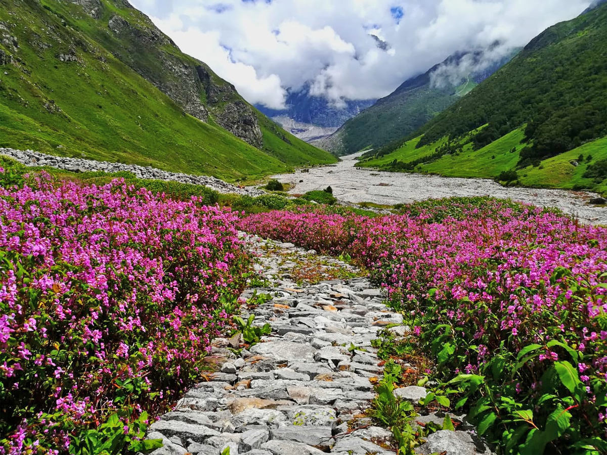 Nanda Devi National Park - A Natural Wonder in Uttarakhand