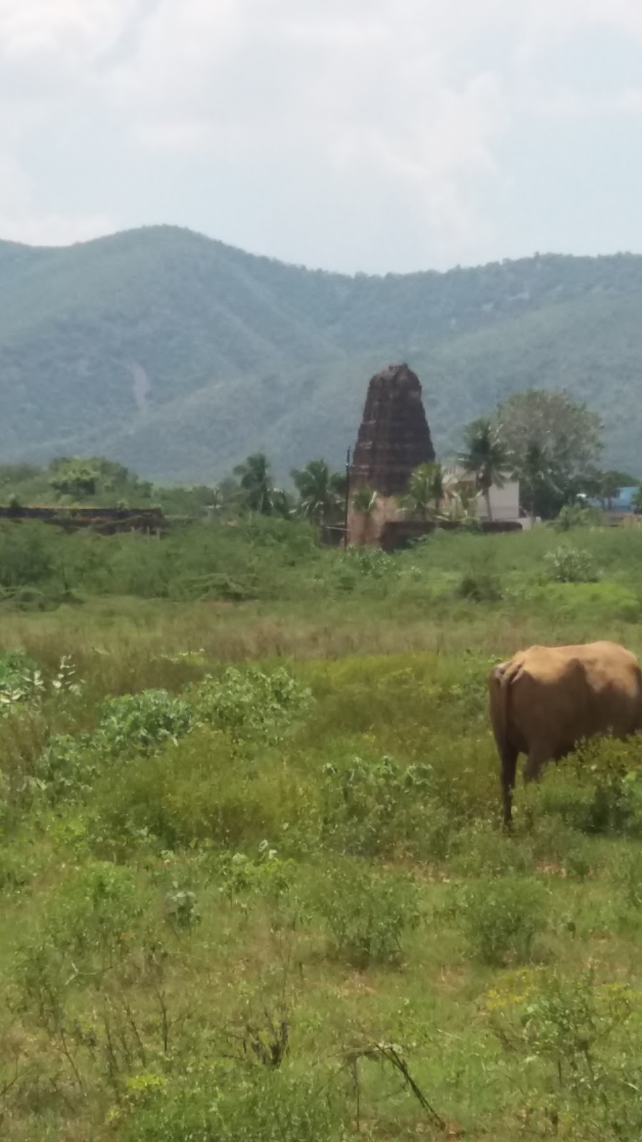 Scenic Countryside Drive