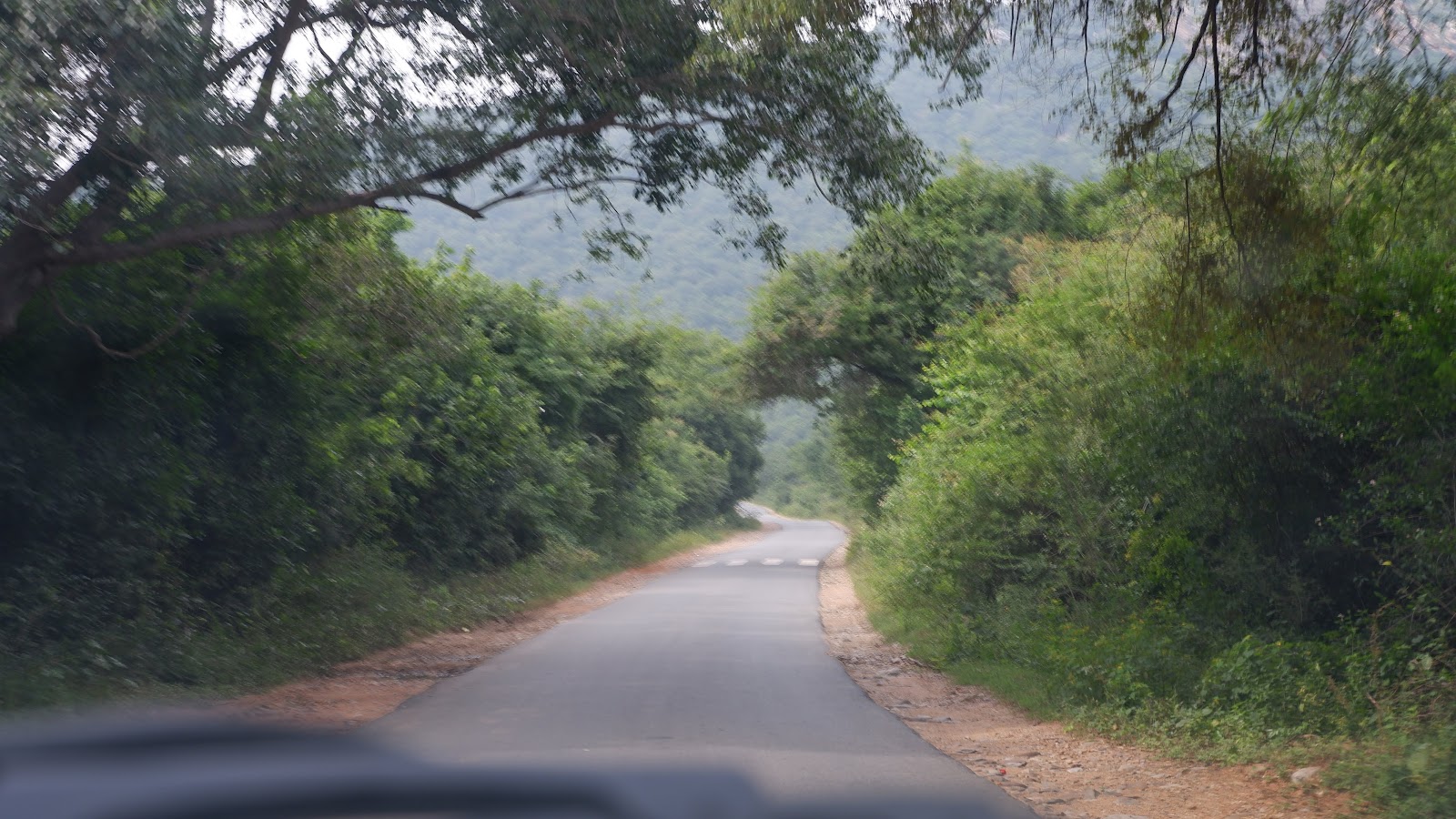 Scenic Countryside Drive