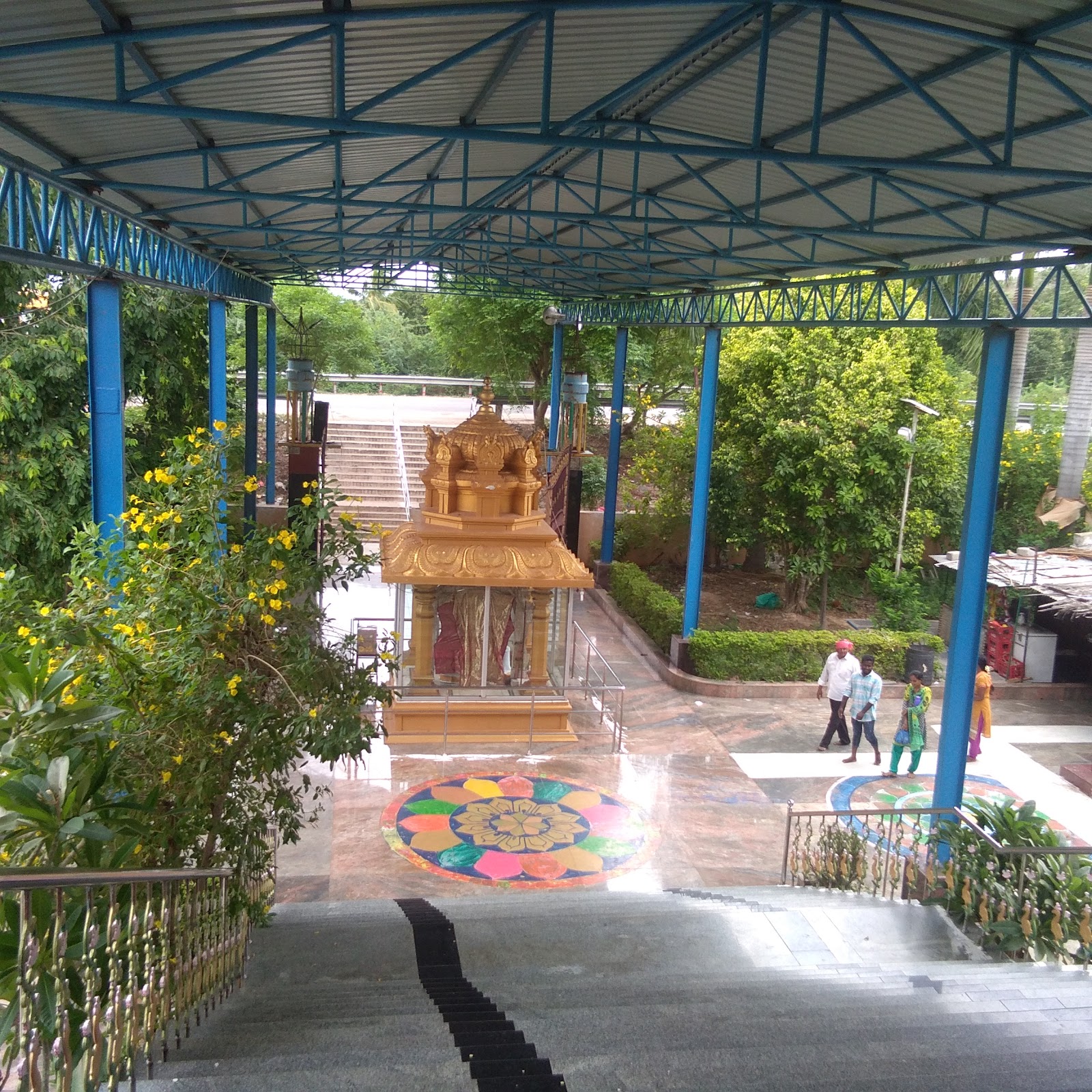 Scenic Countryside Drive