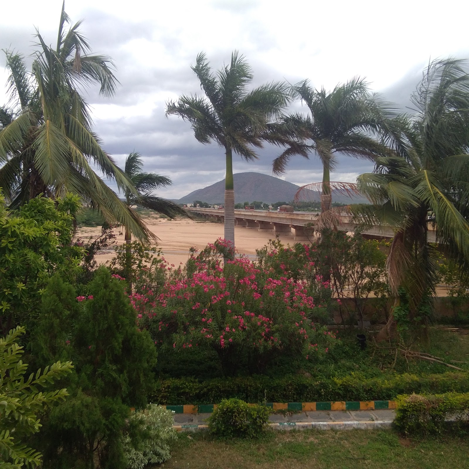 Scenic Countryside Drive