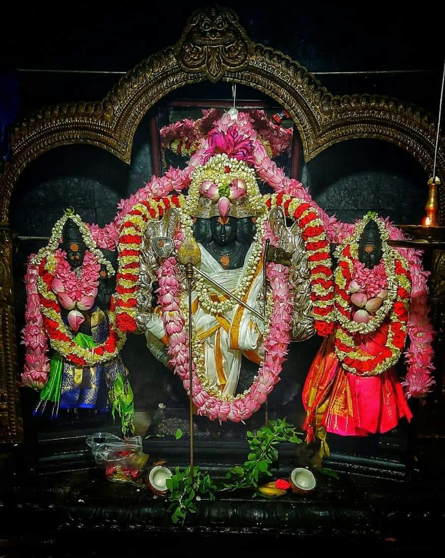 Temple Festival Experience