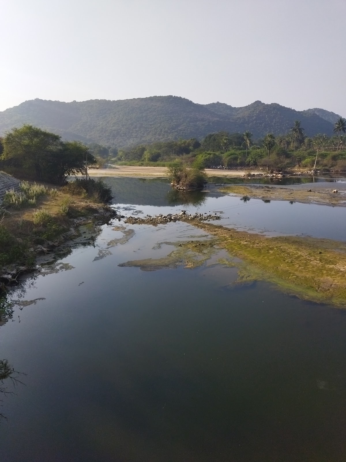 Koundinya Wildlife Sanctuary