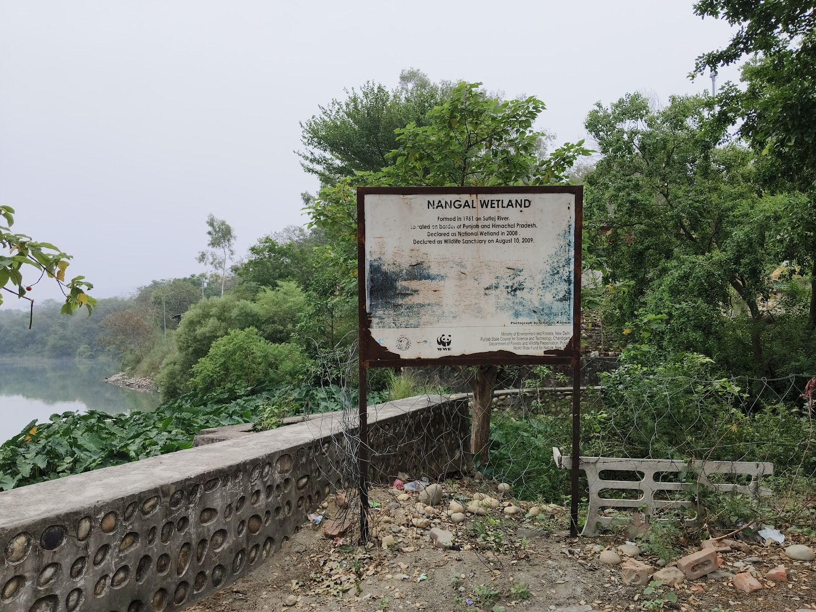 Nangal Wetlands