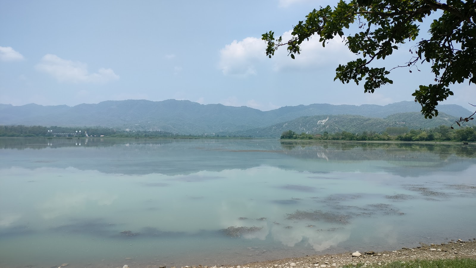 Nangal Wetlands
