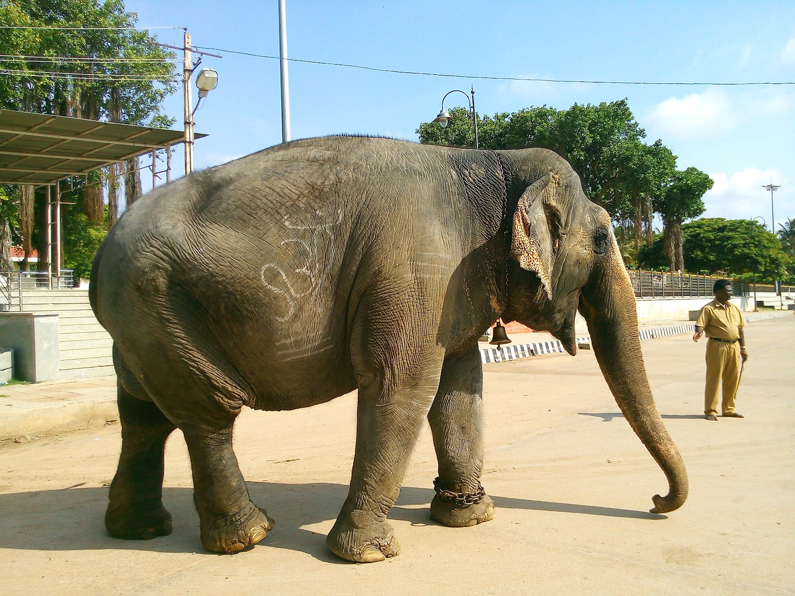 Srikanteshwara Temple