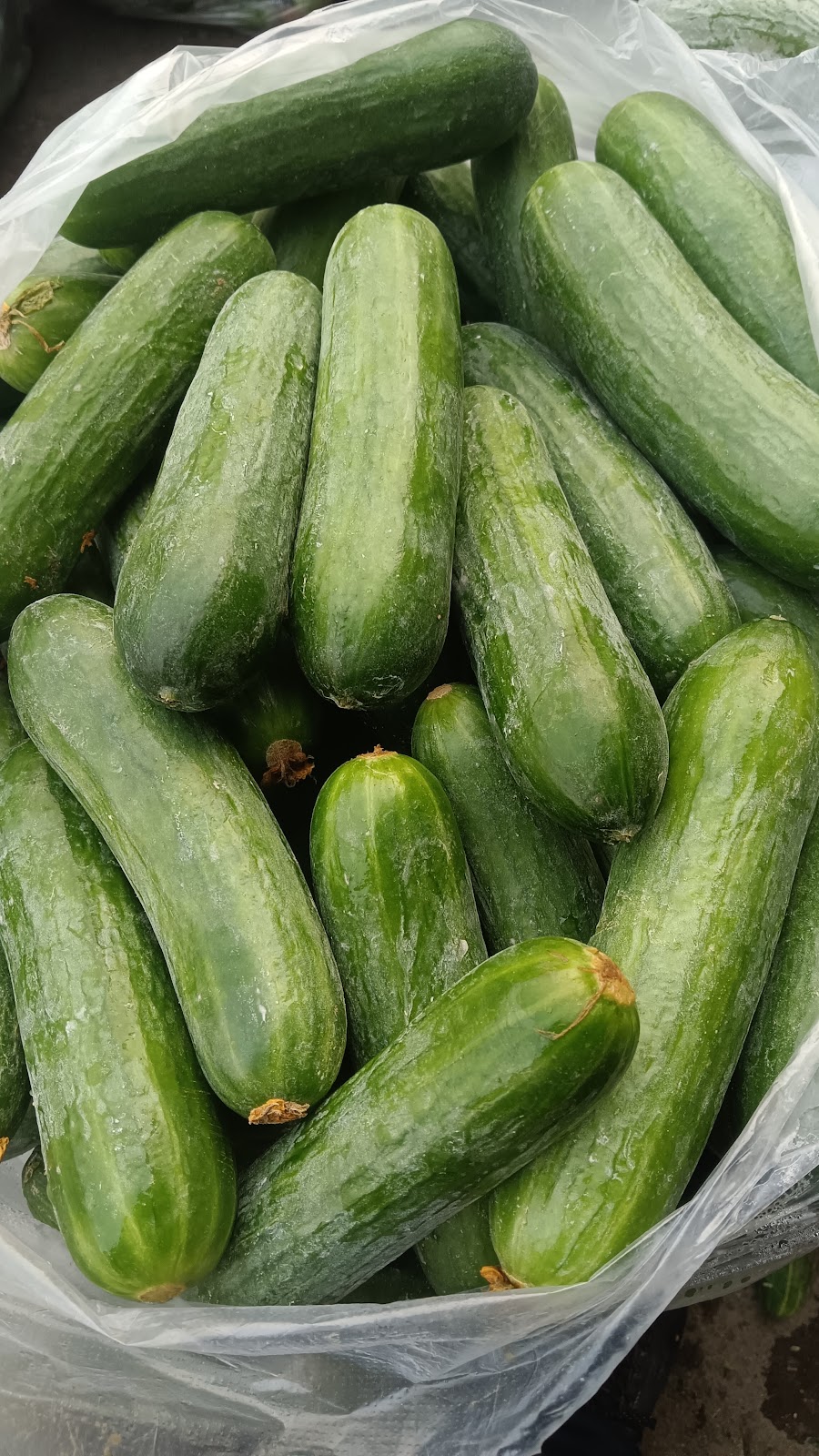 Community Farmers Market