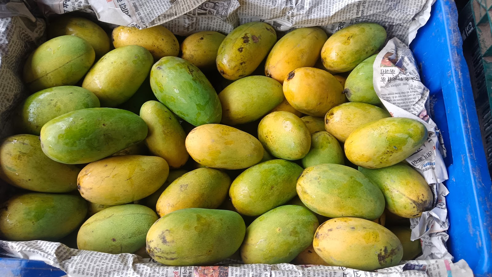 Community Farmers Market