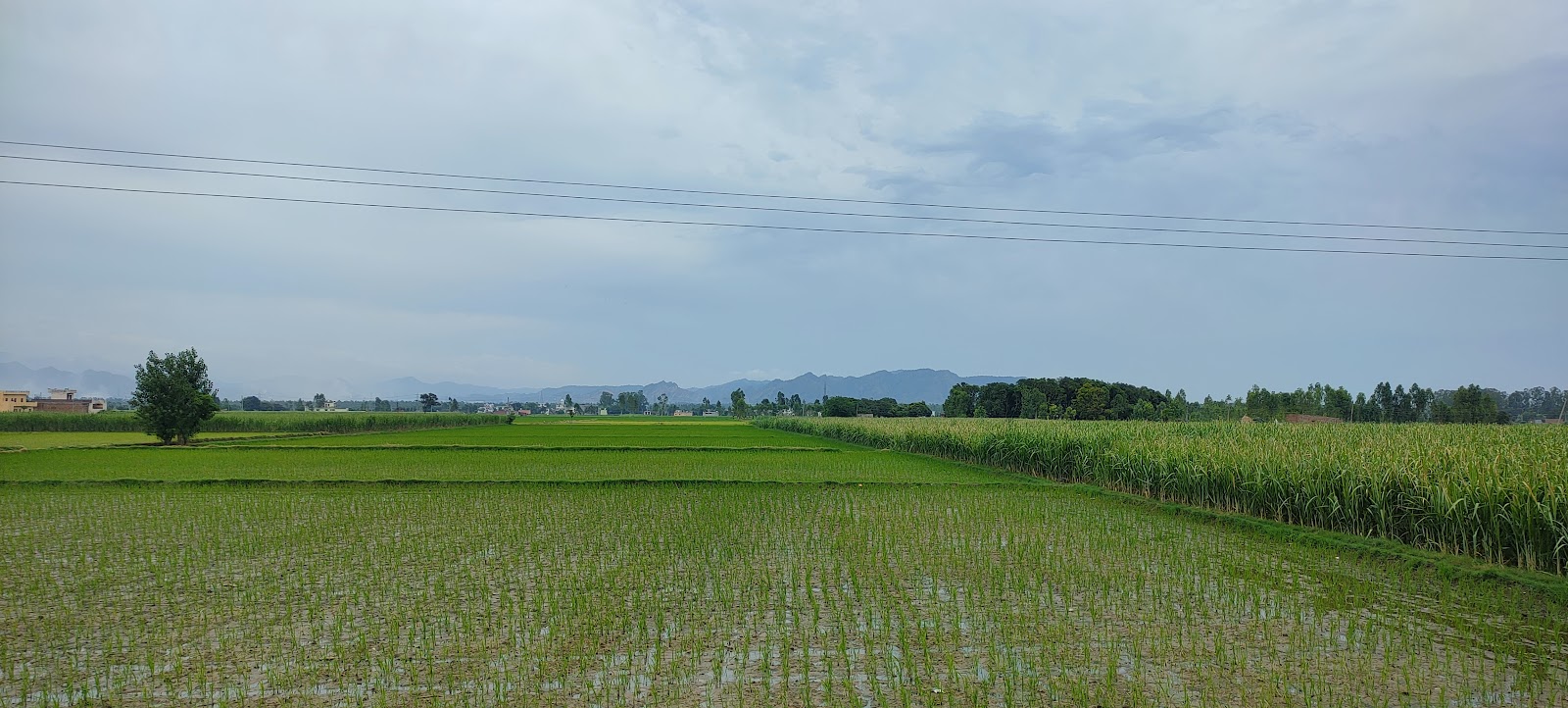 Old Town Heritage Walk