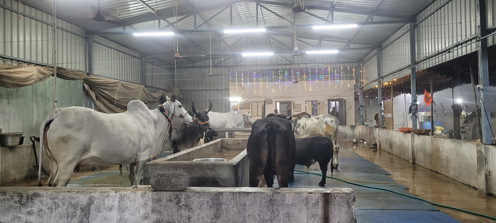 Sri Dharalingeswara Swamy Temple