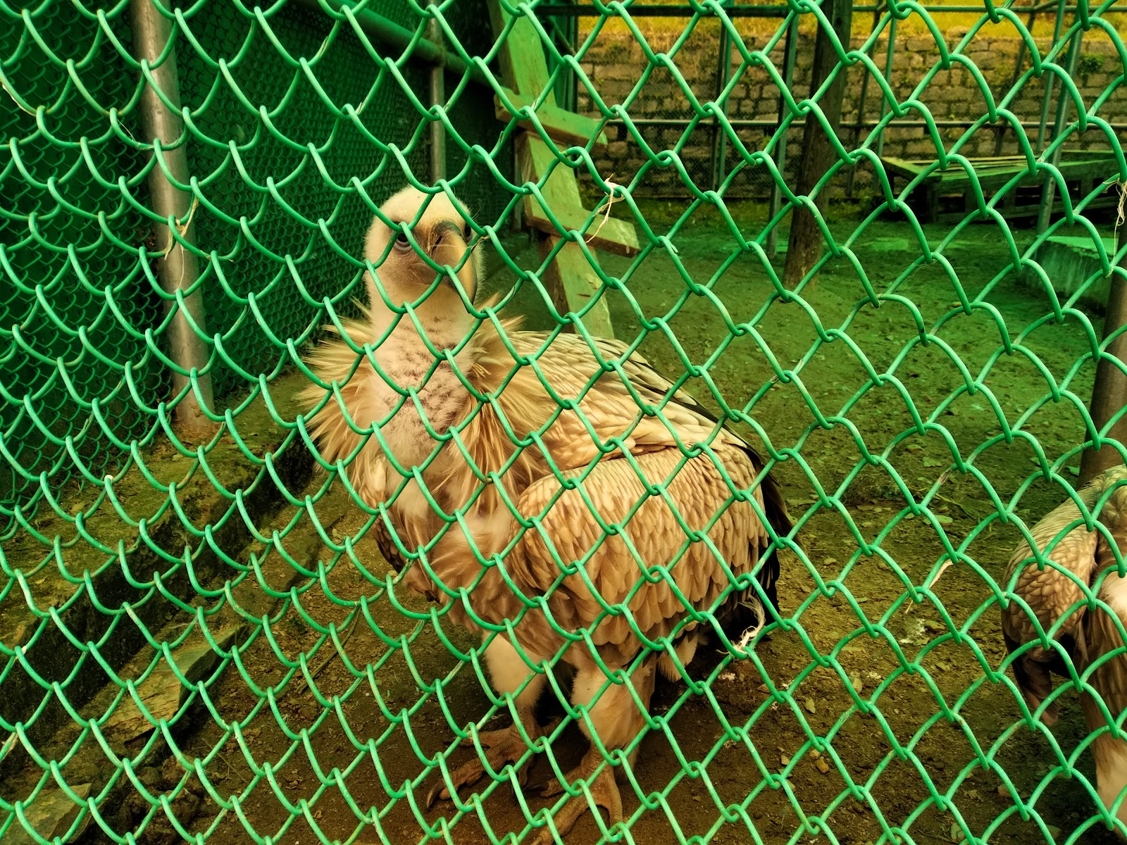 Himalayan Nature Park