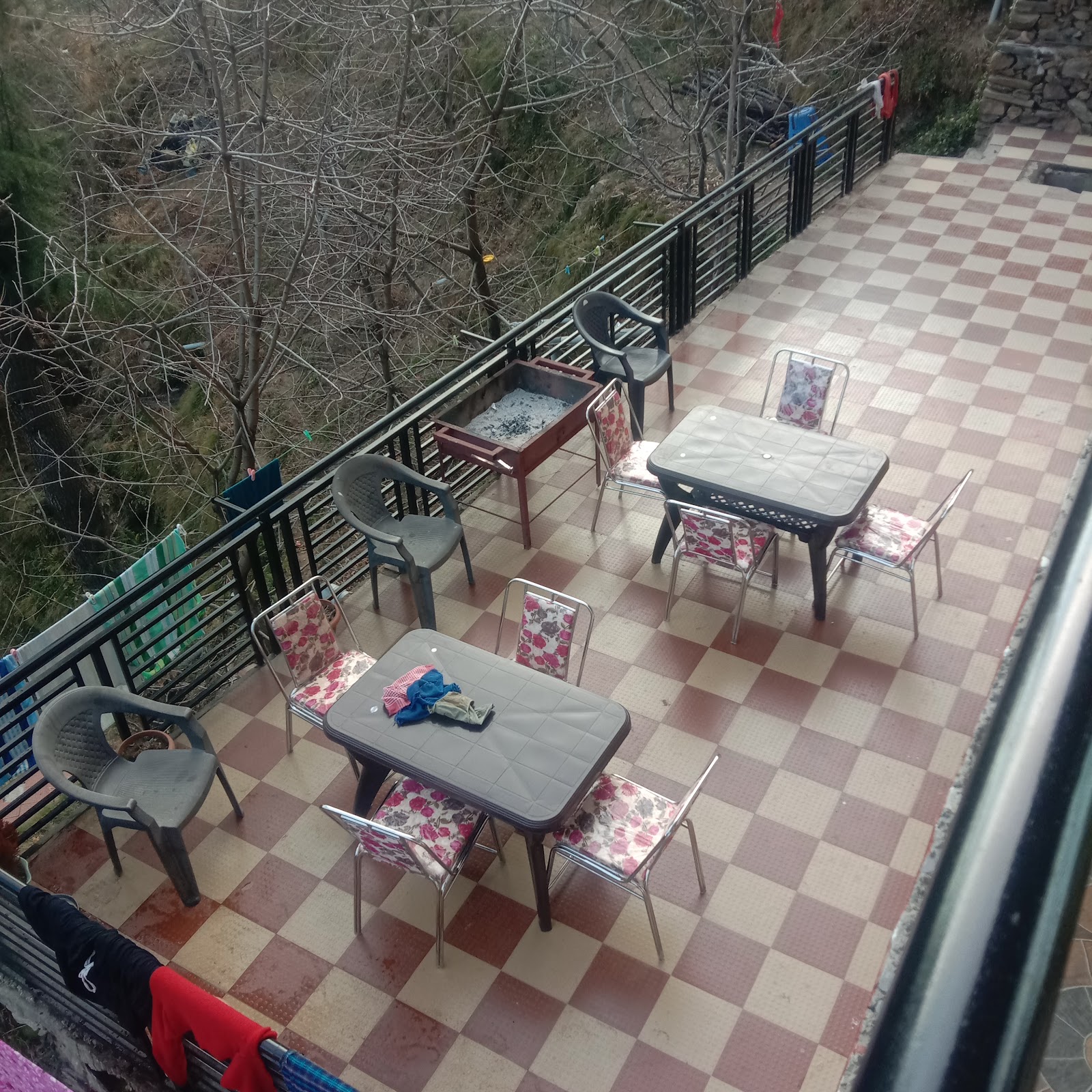 Narkanda Apple Orchard