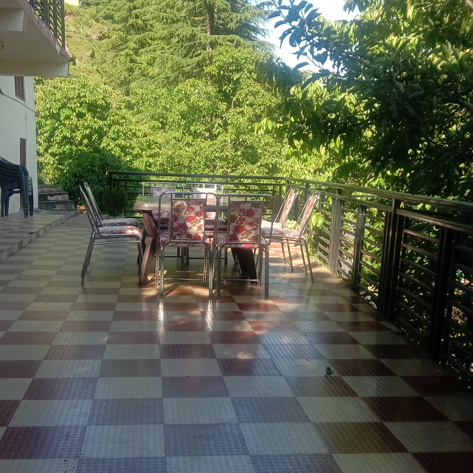 Narkanda Apple Orchard