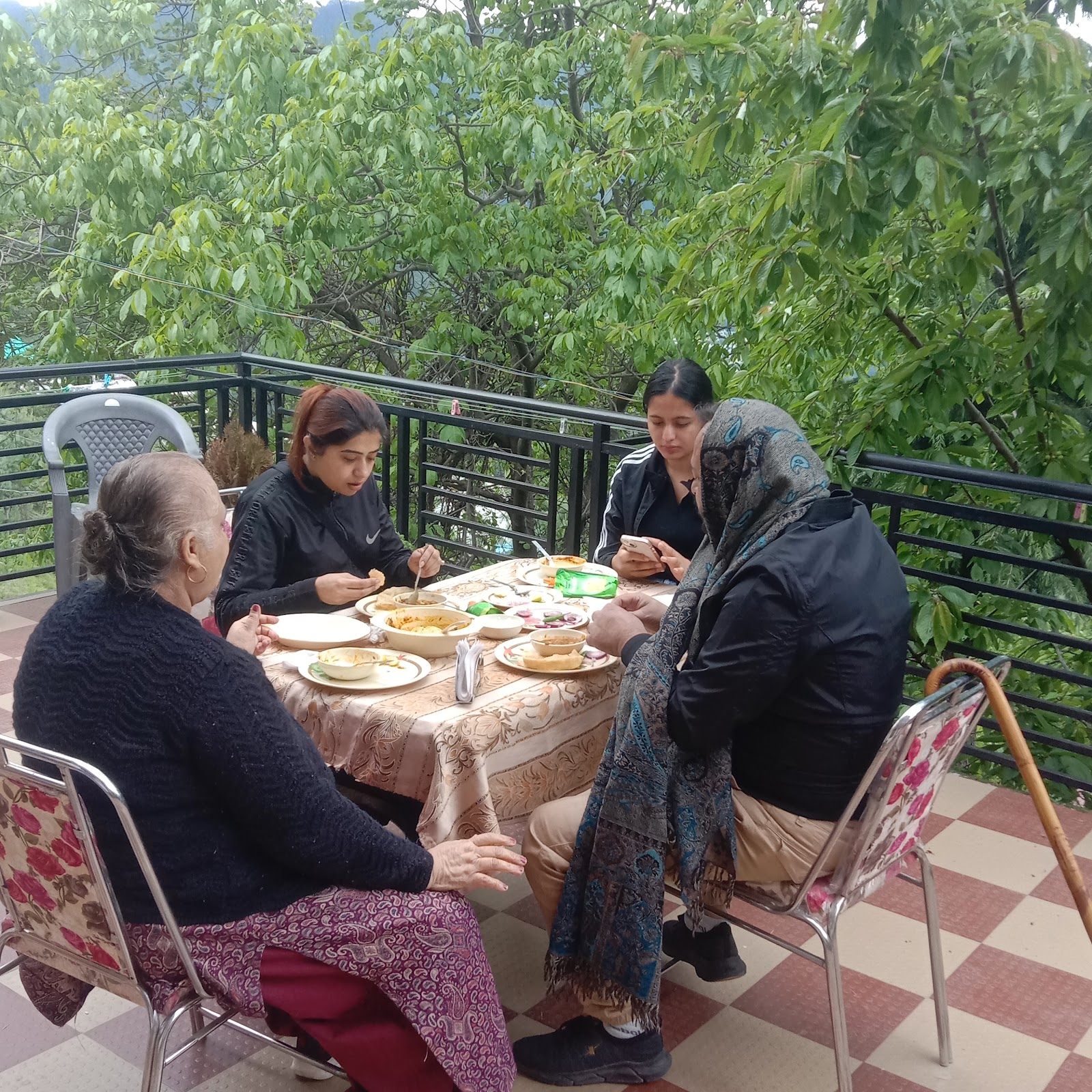 Narkanda Apple Orchard