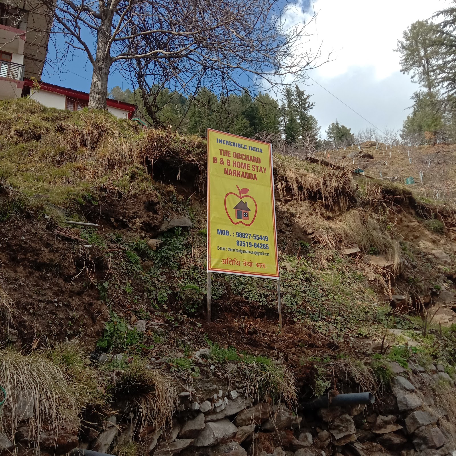 Narkanda Apple Orchard