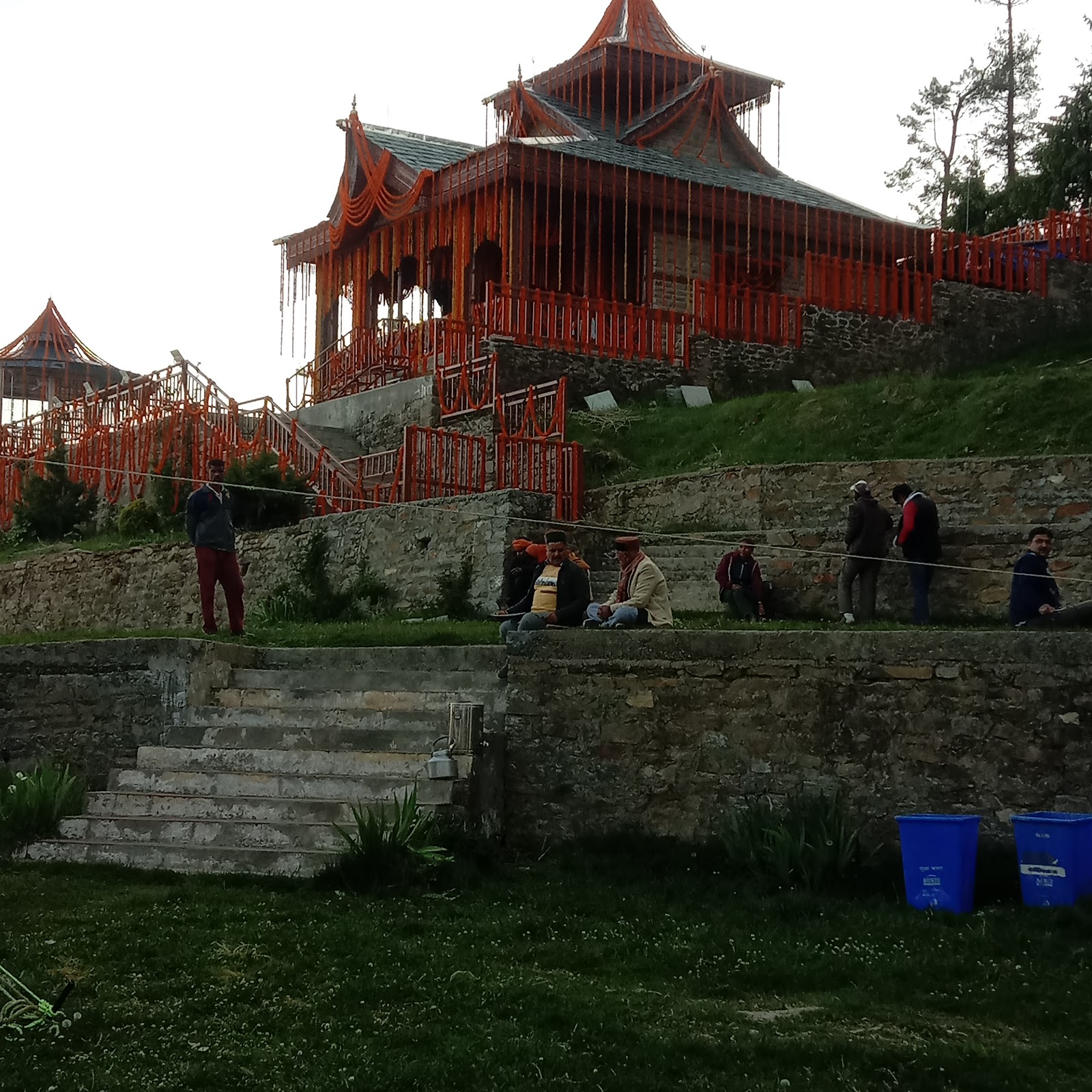 Narkanda Apple Orchard