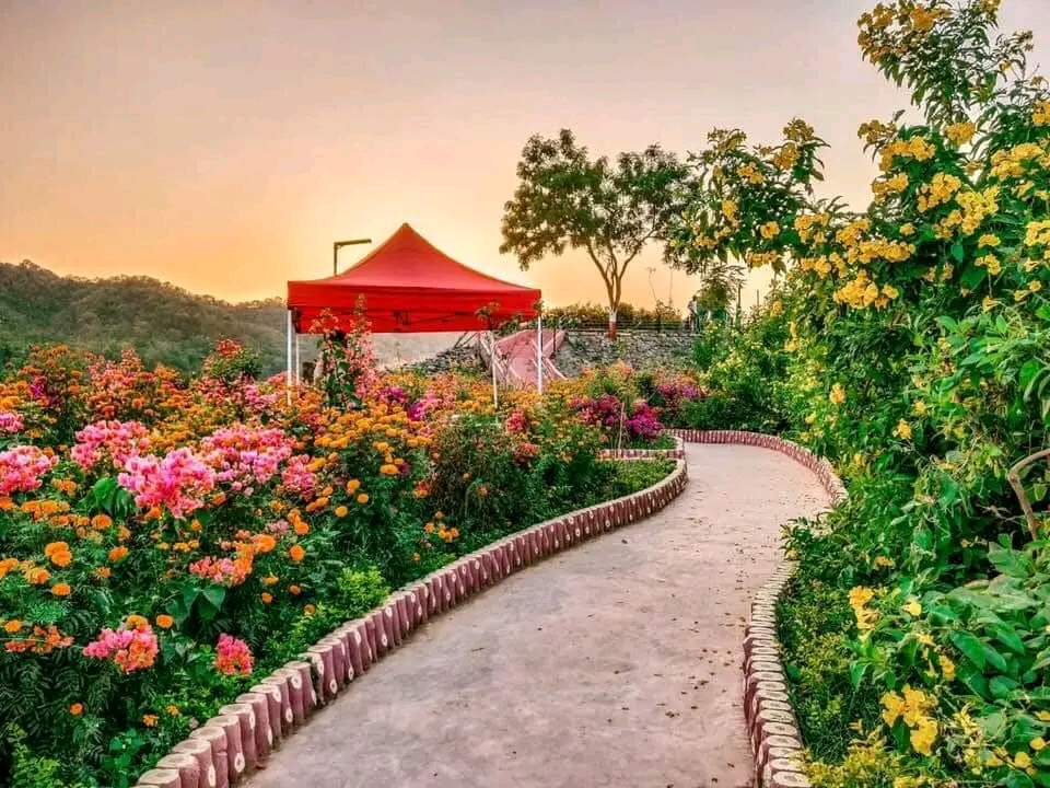 Valley of Flowers Garden
