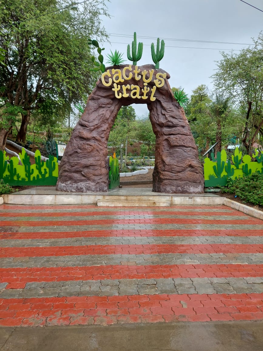 Cactus Garden