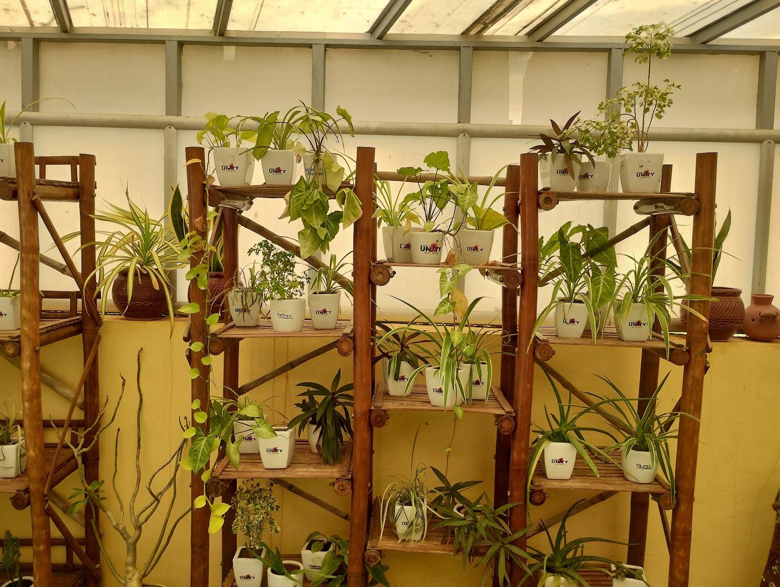 Ekta Nursery and Greenhouse