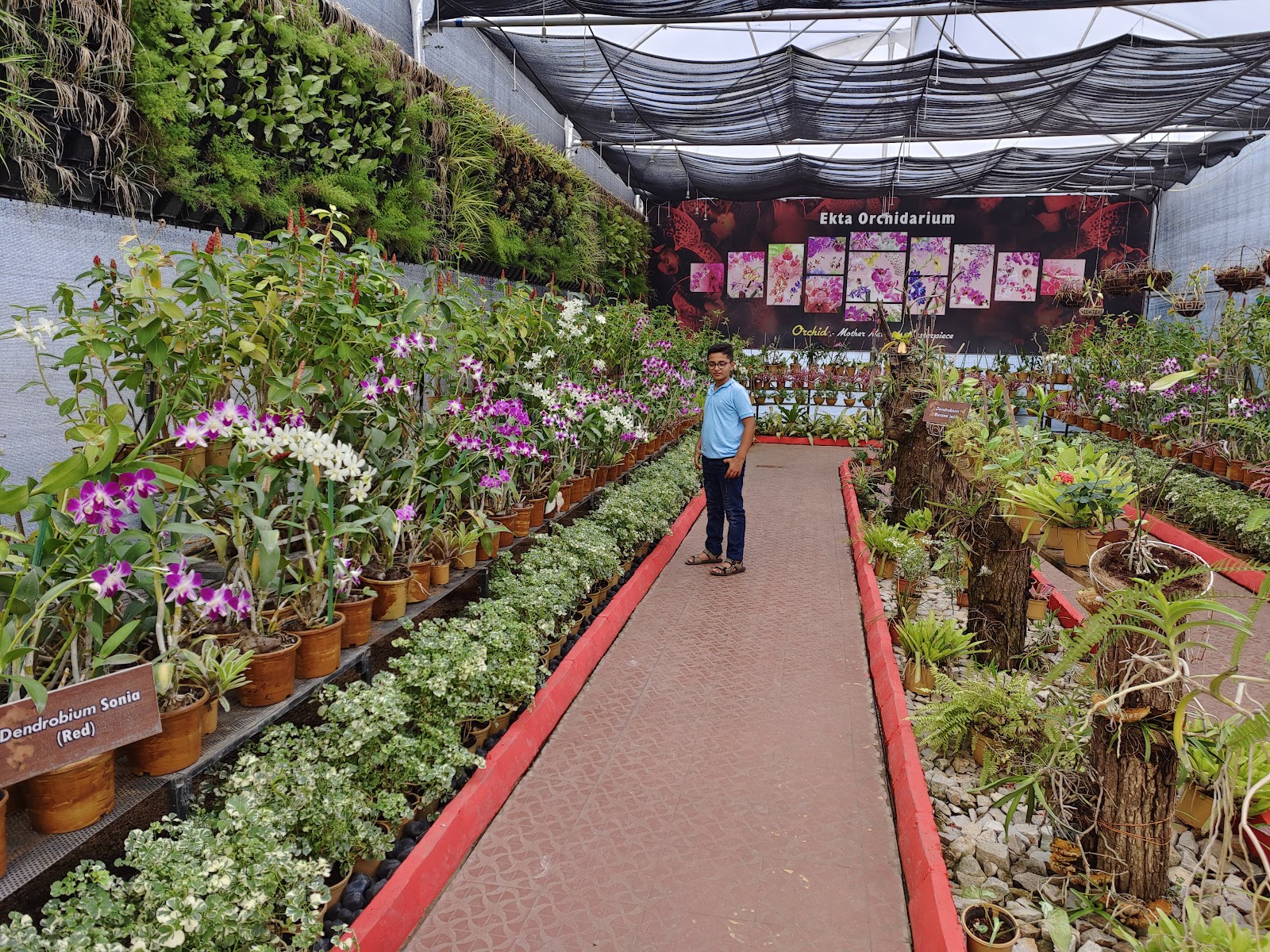 Ekta Nursery and Greenhouse