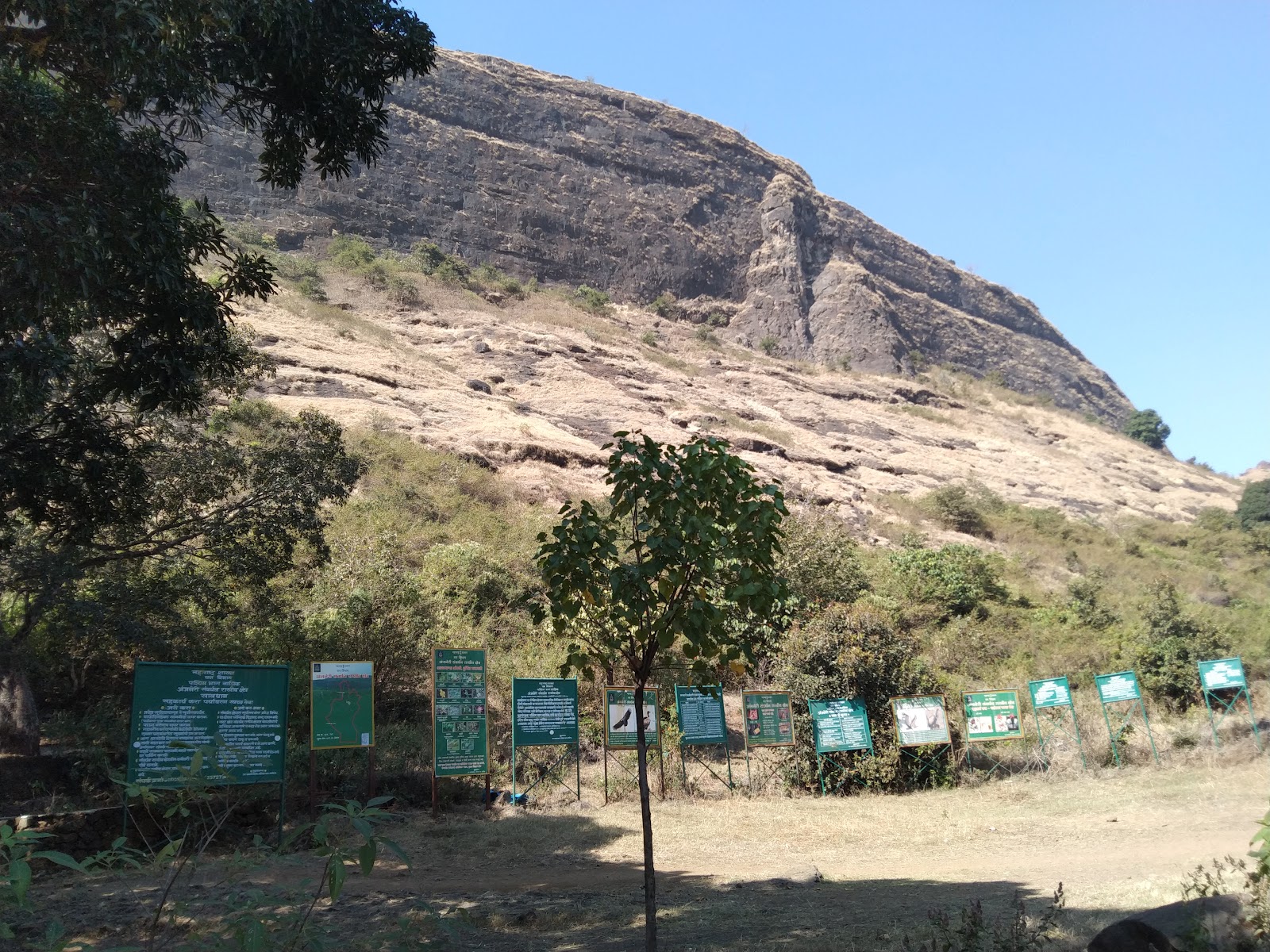 Anjneri Hill